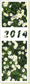 Kalender